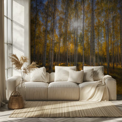 Autumn Sunlit Birch Forest