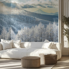 Fuji Winter Forest Sunbeams