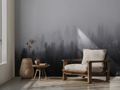 Mysterious Misty Forest