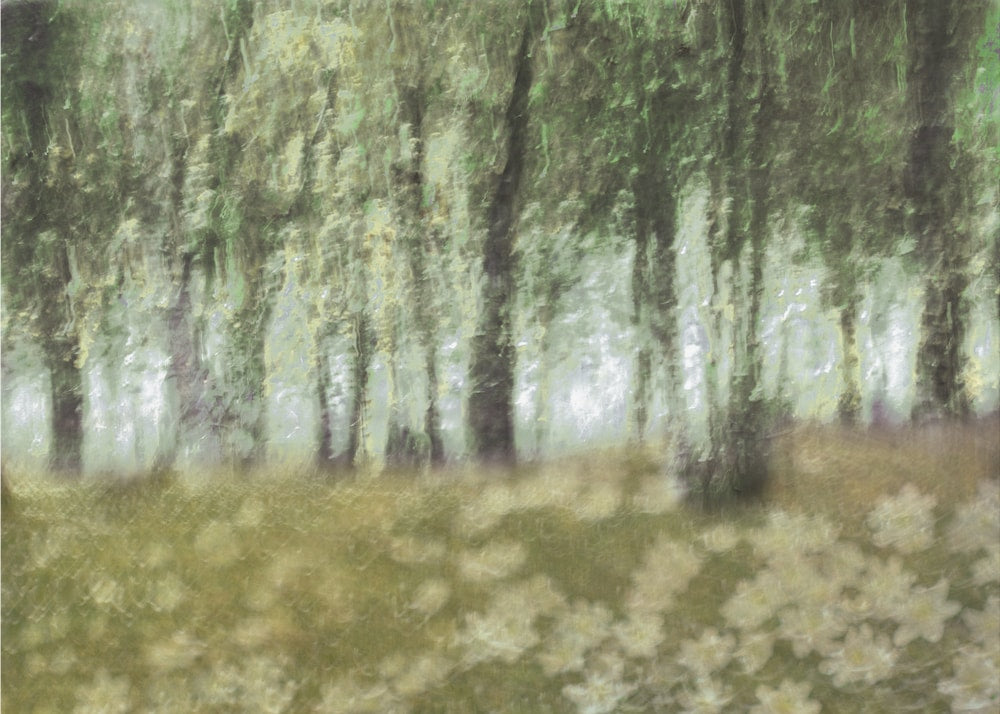 Dreamy Forest Flowers