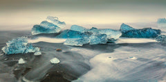 Wall mural Gems from the sea – fototapet med unikt motiv som skapar en inspirerande fondvägg