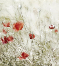 Wall mural Corn Rose – fototapet med unikt motiv som skapar en inspirerande fondvägg