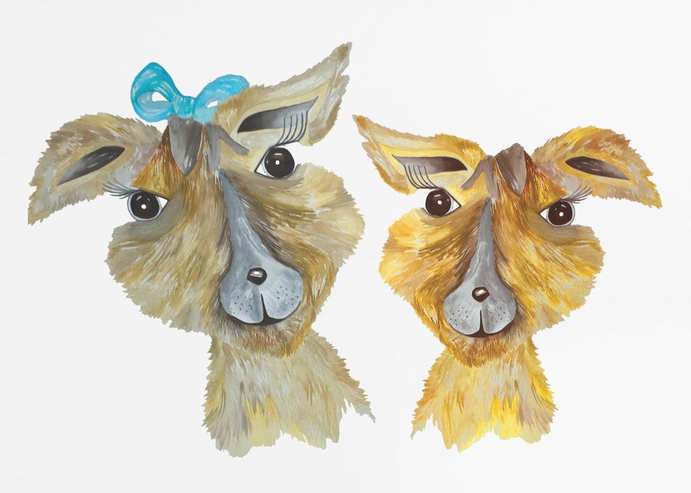 Cute Llama Friends