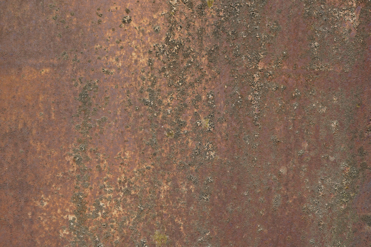 Rust 3