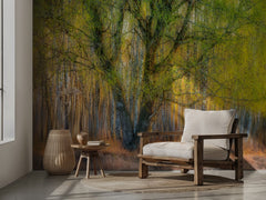 Spring Forest Glow