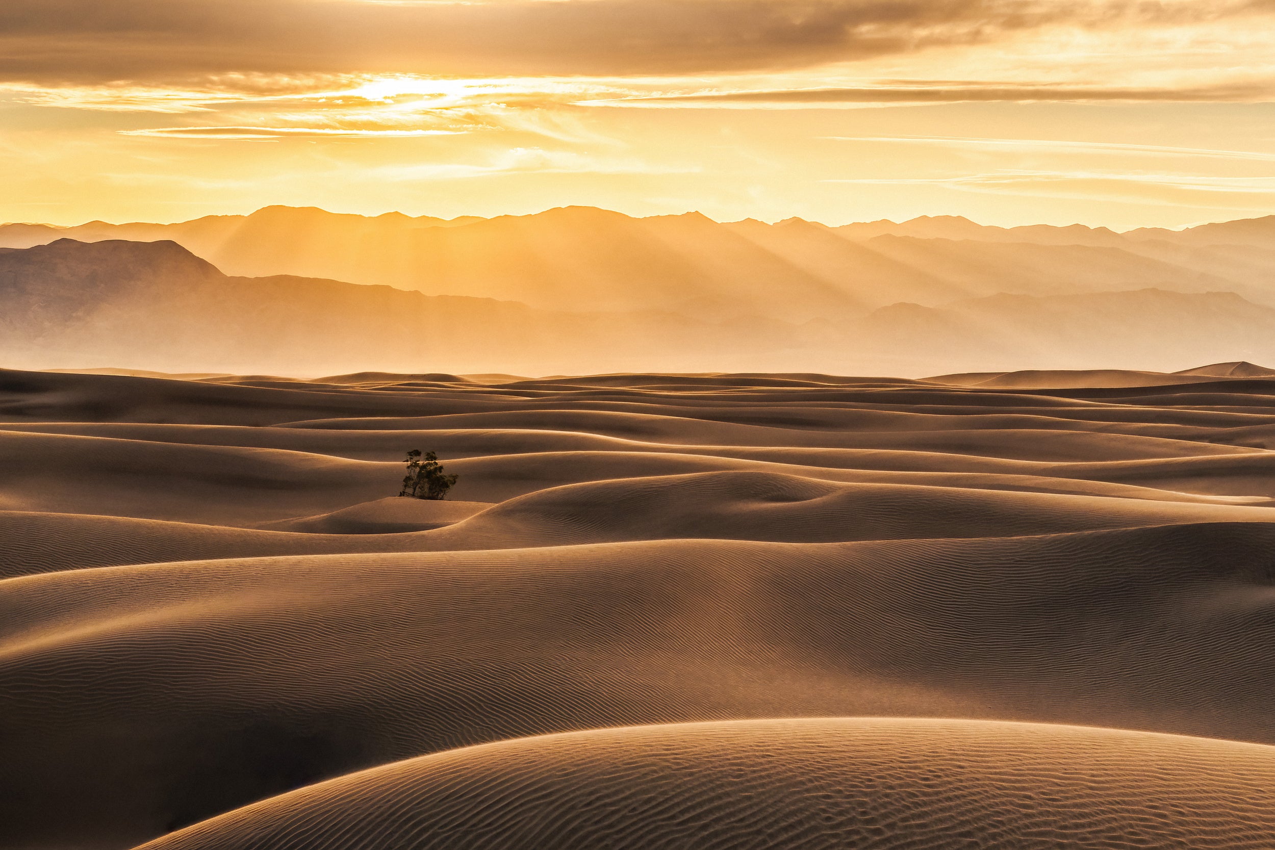 Golden Rays over Sand Dunes