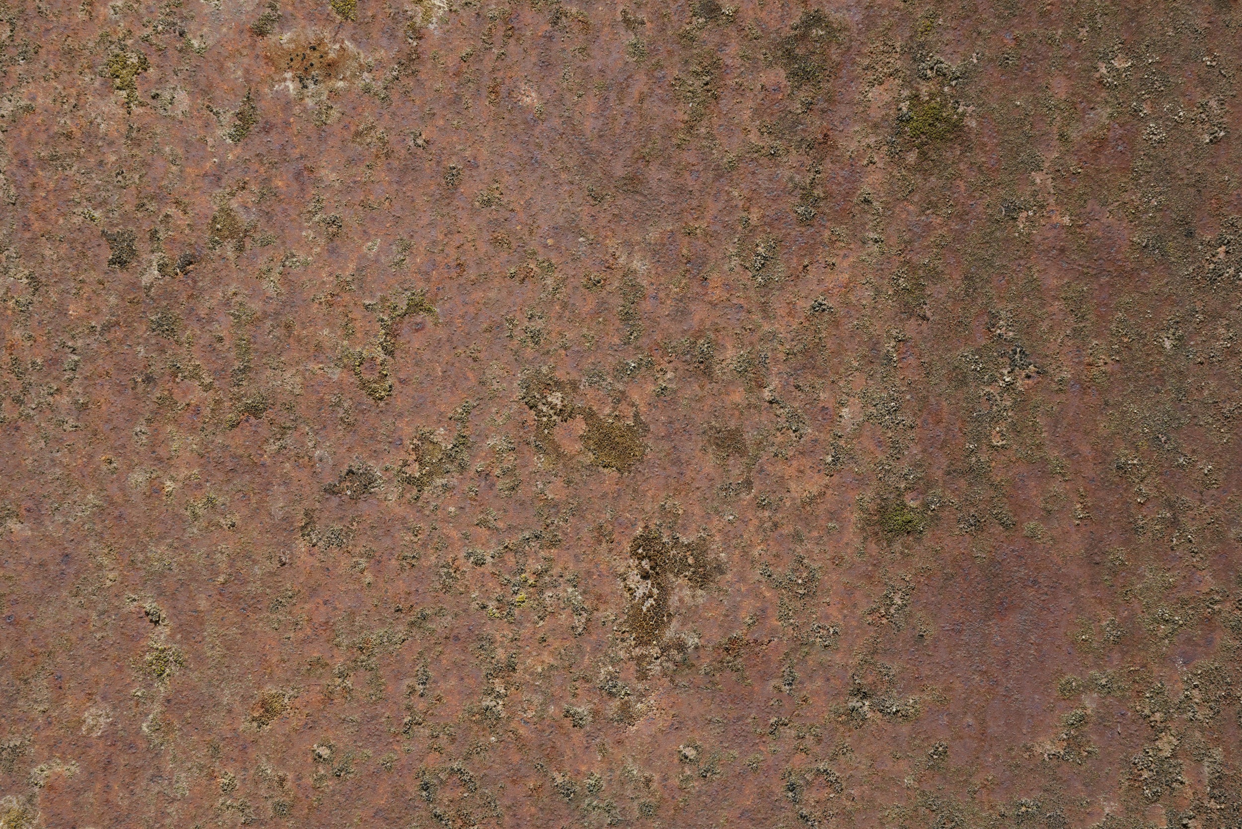 Rust 21