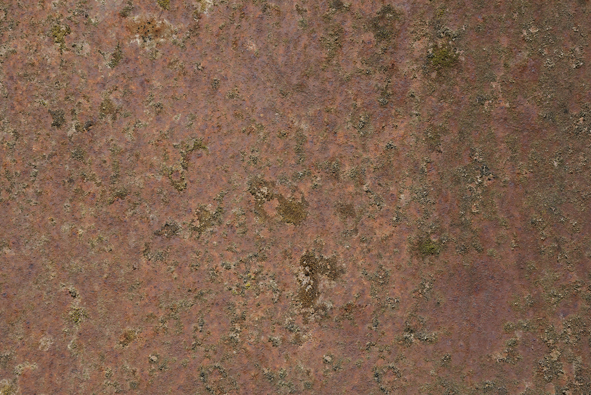 Rust 21