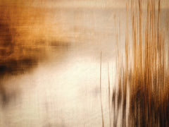 Wall mural In the Reeds – fototapet med unikt motiv som skapar en inspirerande fondvägg