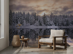 Serene Winter Reflection