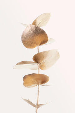 Wall mural Eucalyptus Gold No 6 – fototapet med unikt motiv som skapar en inspirerande fondvägg