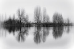 Wall mural Reflected trees – fototapet med unikt motiv som skapar en inspirerande fondvägg