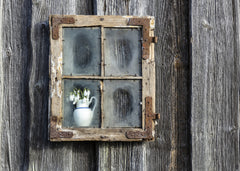 Wall mural Spring flowers in the window – fototapet med unikt motiv som skapar en inspirerande fondvägg