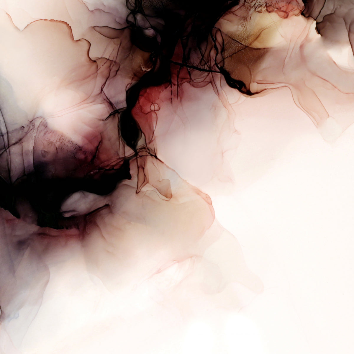 Storm II
