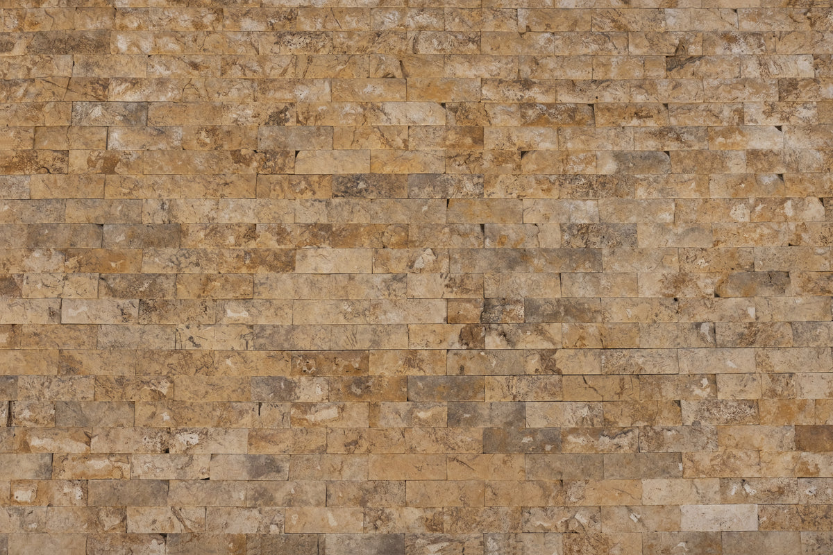 Texture 24