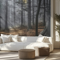 Misty Autumn Forest Light