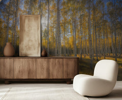 Autumn Sunlit Birch Forest