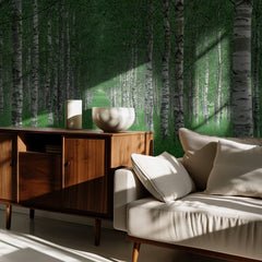 Birch Forest Path