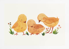 Cute Baby Chicks