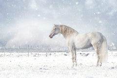 Wall mural Let it snow – fototapet med unikt motiv som skapar en inspirerande fondvägg