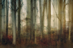 Wall mural Autumn light – fototapet med unikt motiv som skapar en inspirerande fondvägg