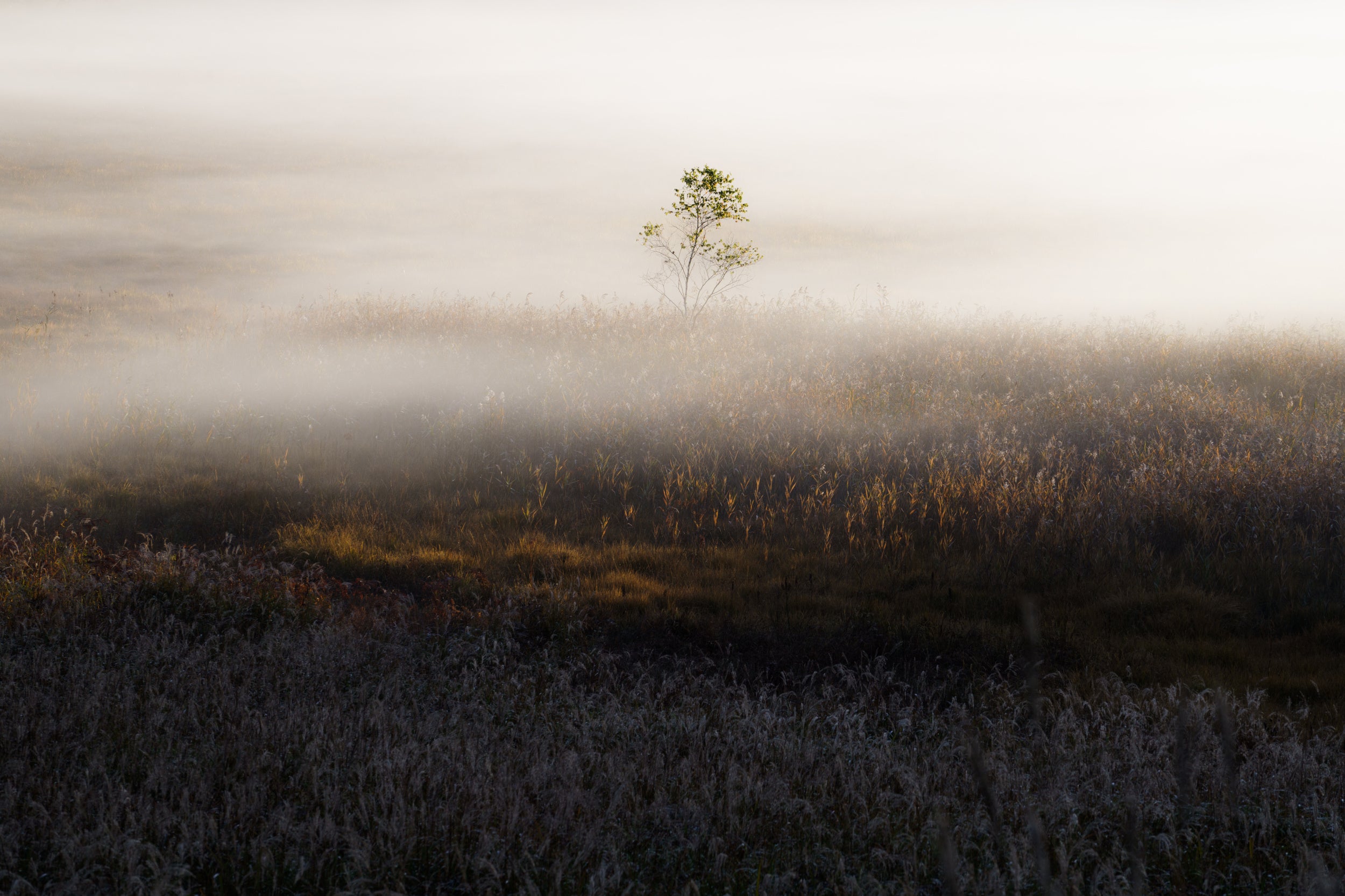 特別な時間/special time