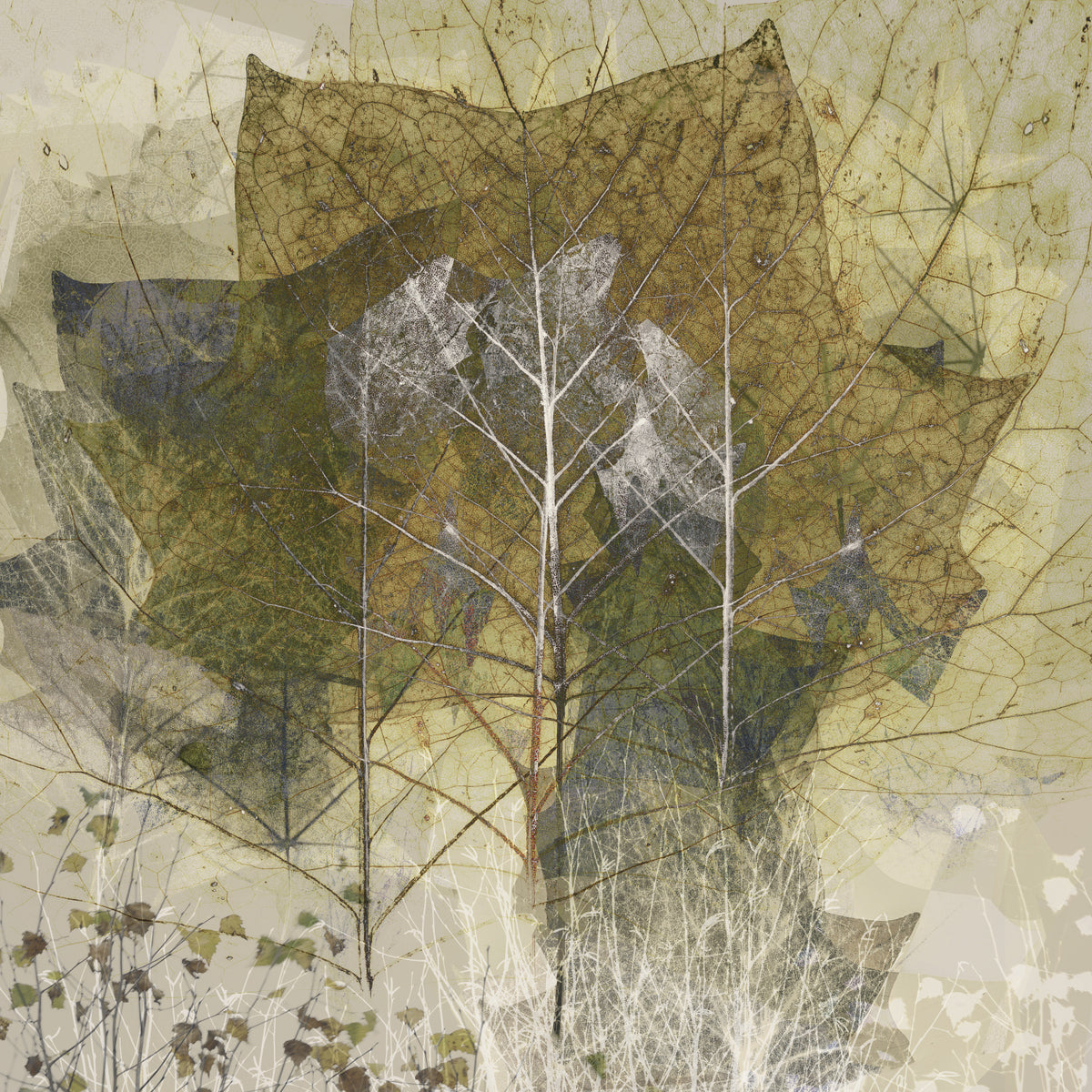 Transient
