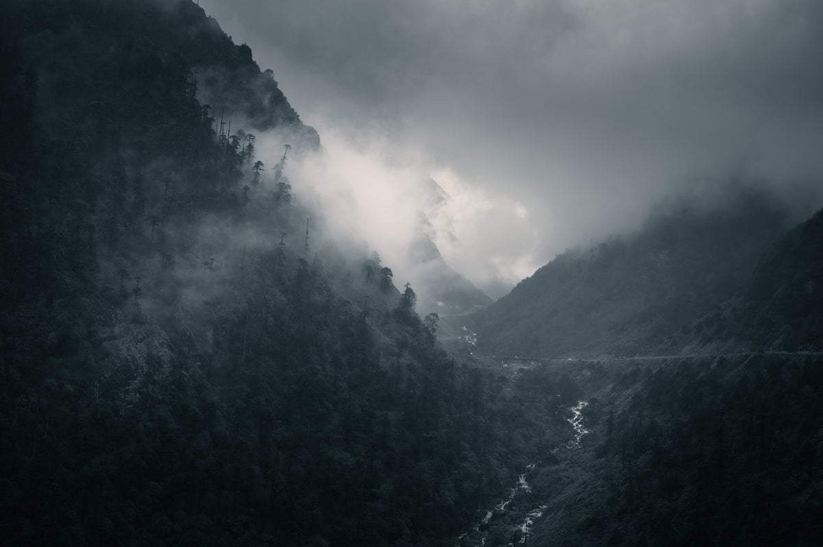 Naturens drama!
