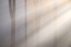 Wall mural Rays of light – fototapet med unikt motiv som skapar en inspirerande fondvägg