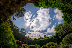 Wall mural Umpherston Sinkhole – fototapet med unikt motiv som skapar en inspirerande fondvägg