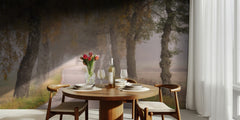 Misty Autumn Road