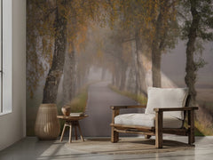 Misty Autumn Road