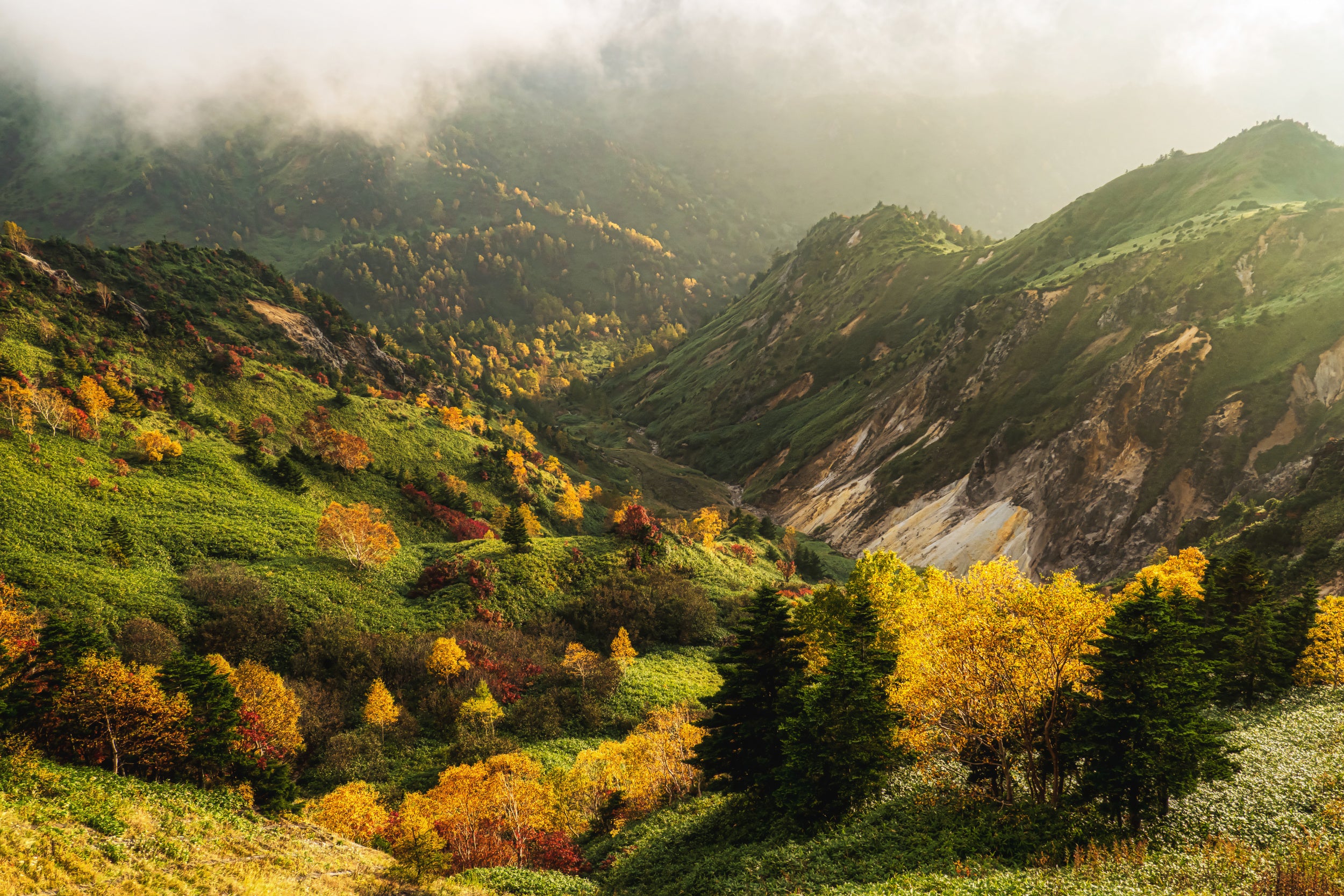 Alpine autumn.