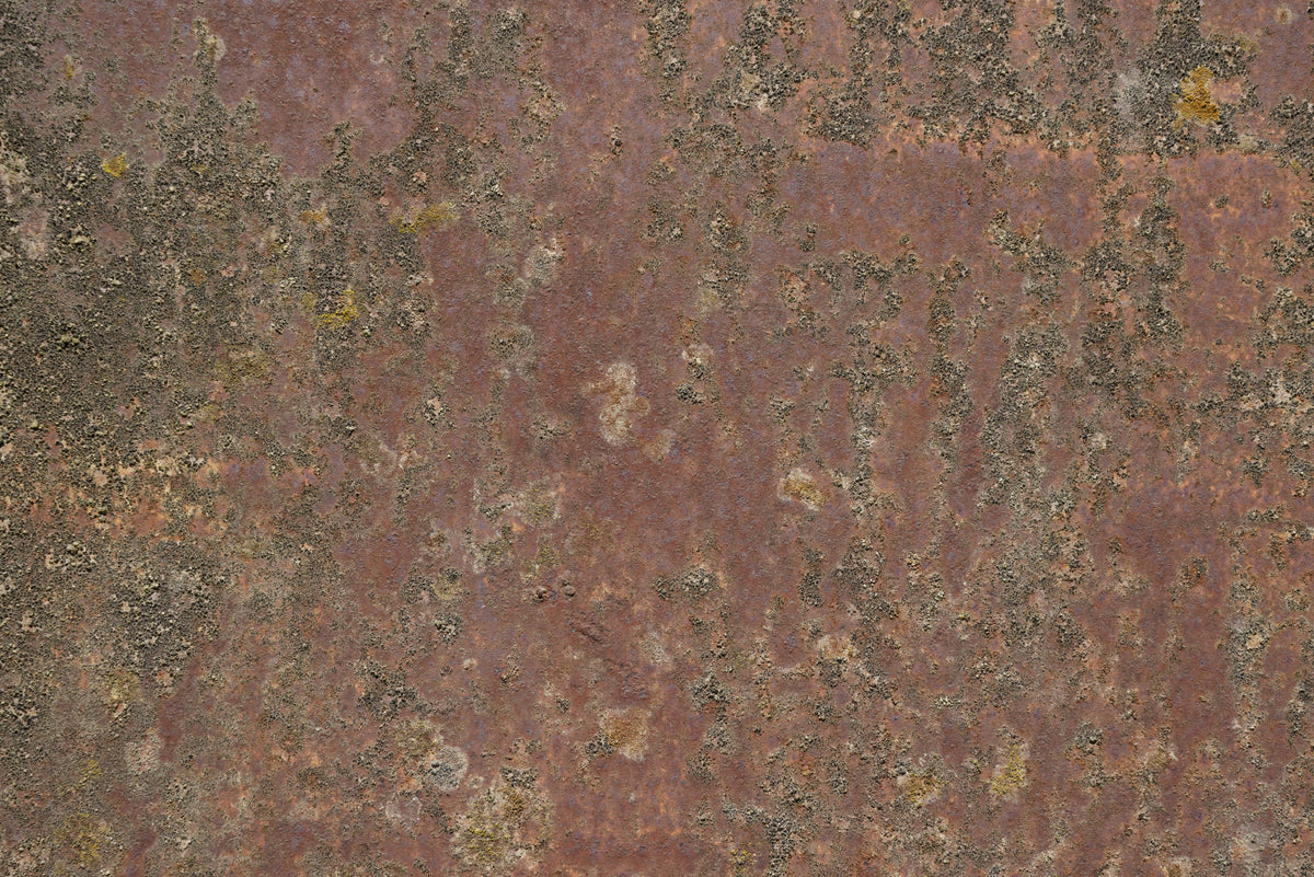 Rust 37