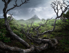 Wall mural Yunnan wasteland – fototapet med unikt motiv som skapar en inspirerande fondvägg