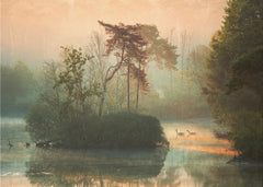 Misty Morning Geese