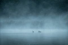 Wall mural Dark and foggy lake – fototapet med unikt motiv som skapar en inspirerande fondvägg