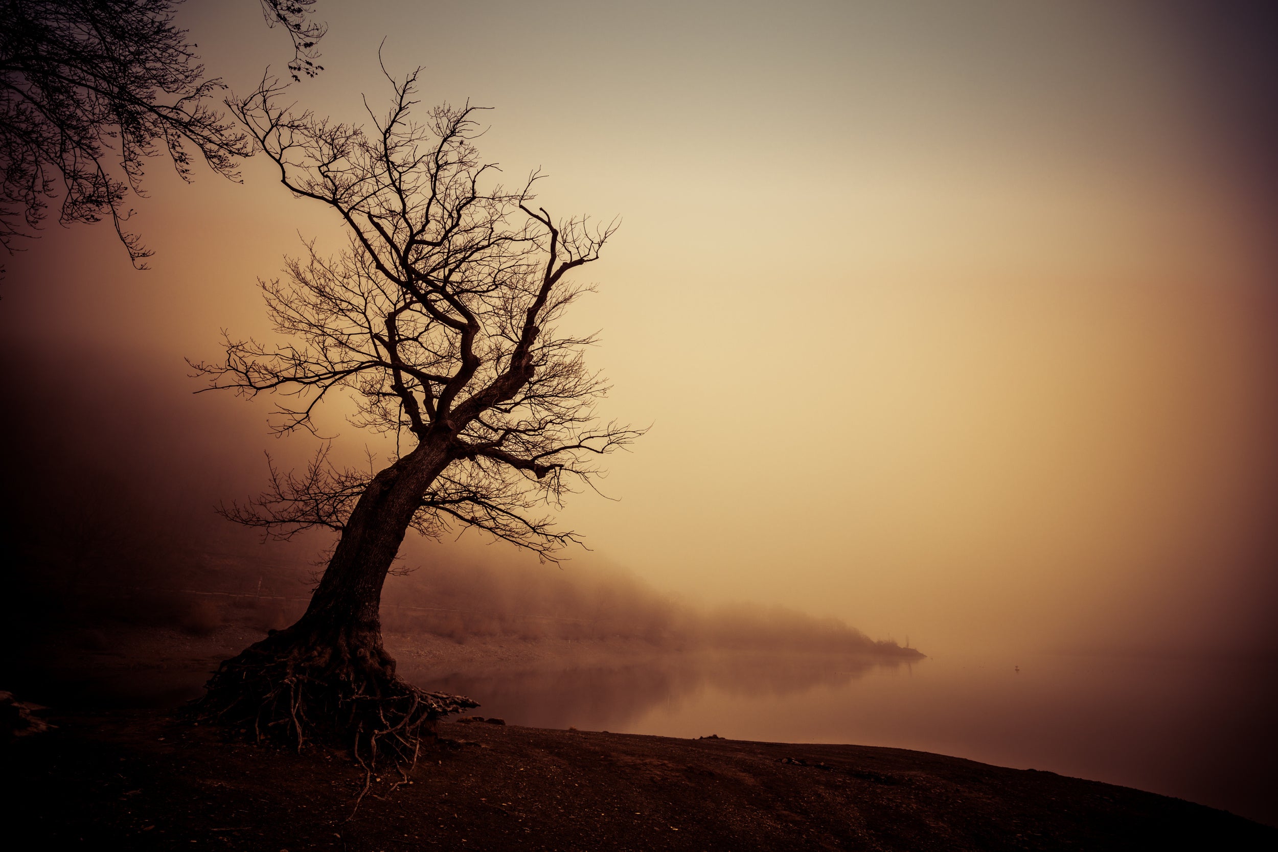 January Lakemood