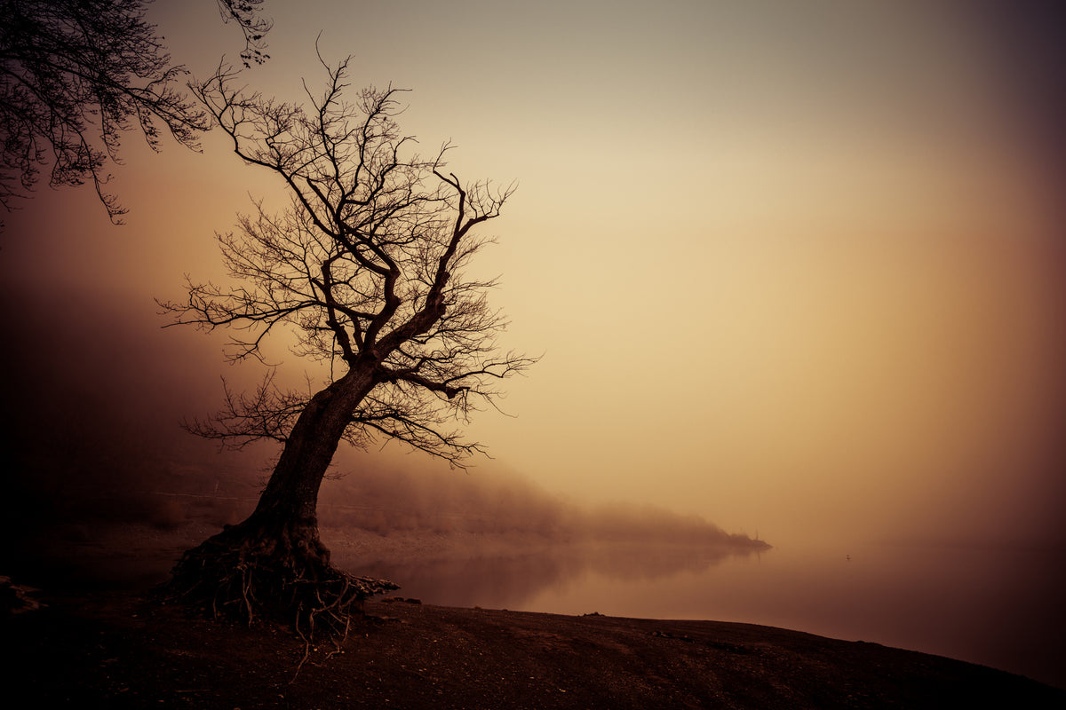 Januar Lakemood