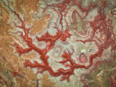 Wall mural Red Dragon of The Badlands – fototapet med unikt motiv som skapar en inspirerande fondvägg