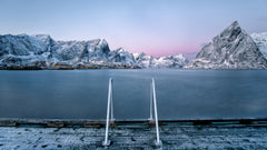 Wall mural Out for a swim – fototapet med unikt motiv som skapar en inspirerande fondvägg