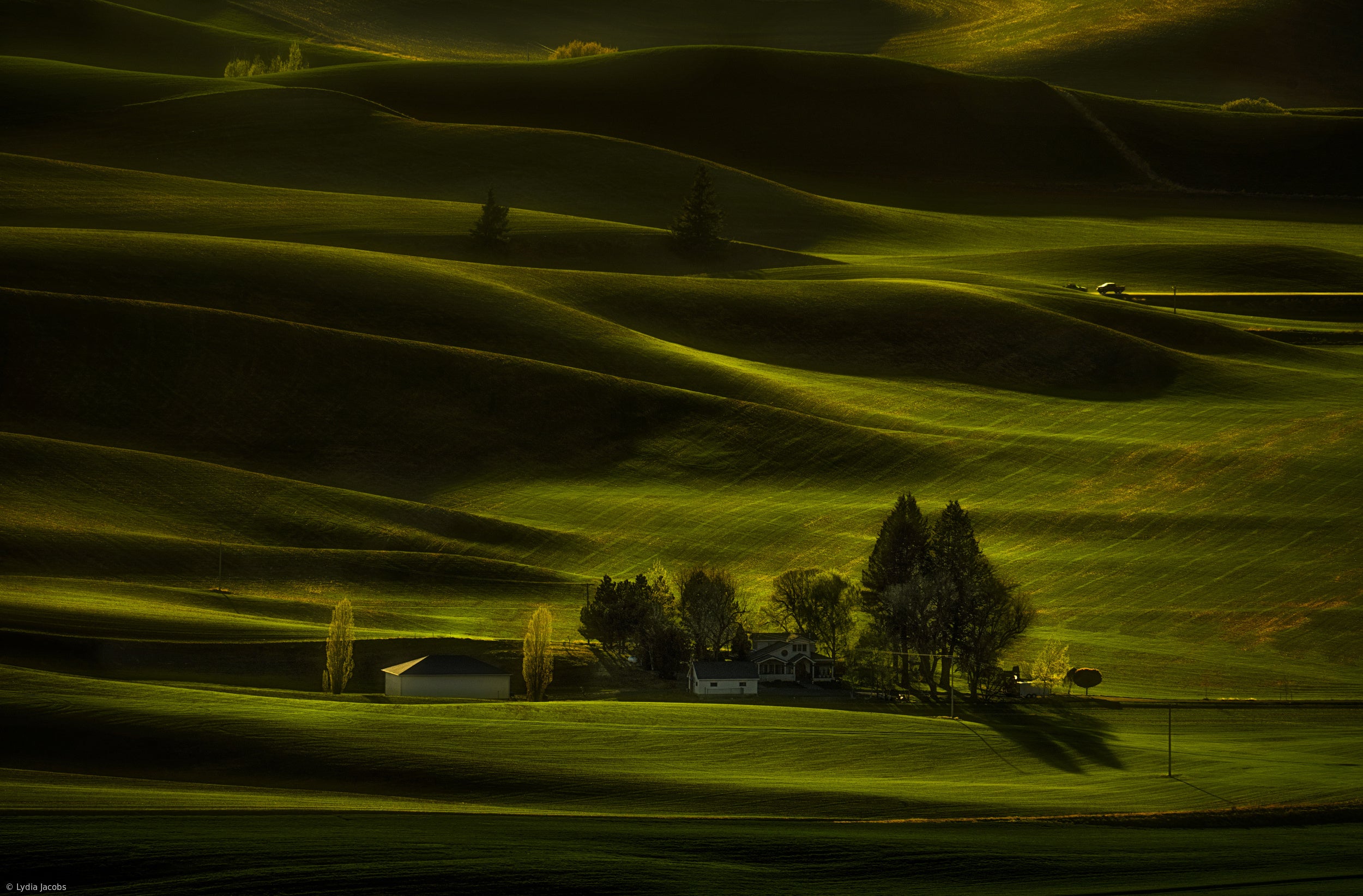 Green Farmland