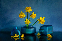 Wall mural Yellow Daffodil – fototapet med unikt motiv som skapar en inspirerande fondvägg