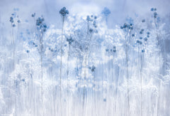 Wall mural Icy blue – fototapet med unikt motiv som skapar en inspirerande fondvägg
