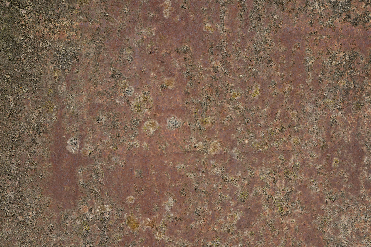 Rust 36