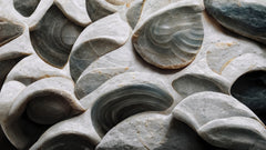 Wall mural Sea Shells Detail No 5 – fototapet med unikt motiv som skapar en inspirerande fondvägg