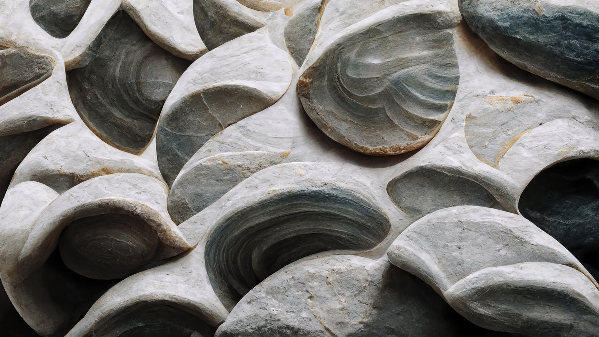 Sea Shells Detalj Nr 5