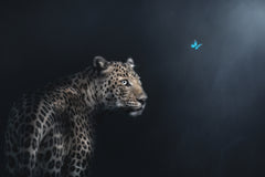 Wall mural Imagination – fototapet med unikt motiv som skapar en inspirerande fondvägg