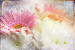 Wall mural Ombre45flower – fototapet med unikt motiv som skapar en inspirerande fondvägg