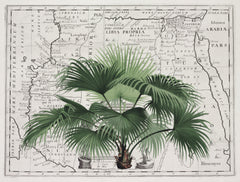 Wall mural Tropical Empire No3 – fototapet med unikt motiv som skapar en inspirerande fondvägg